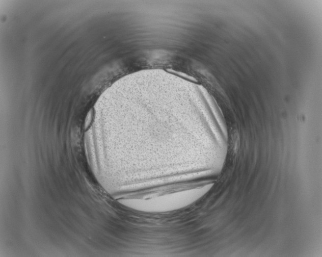 X0000086050571200704202039