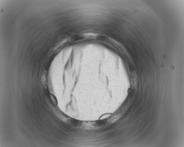 X0000086050573200704202039