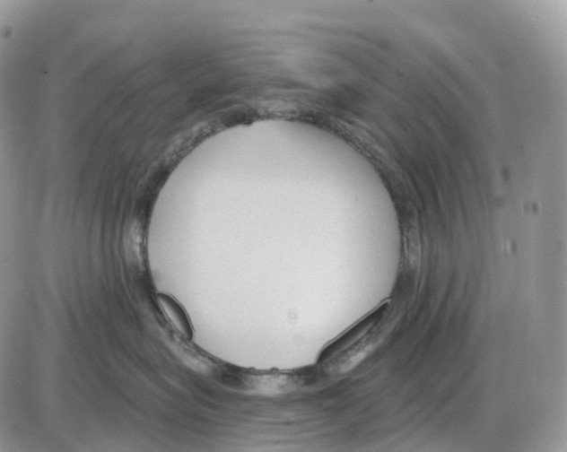 X0000086050575200704202039