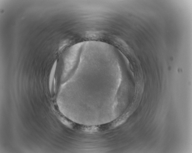 X0000086050576200704202039