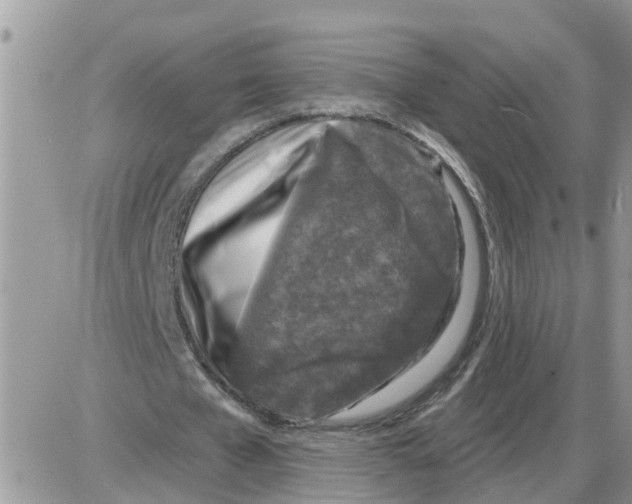 X0000086050577200704202038