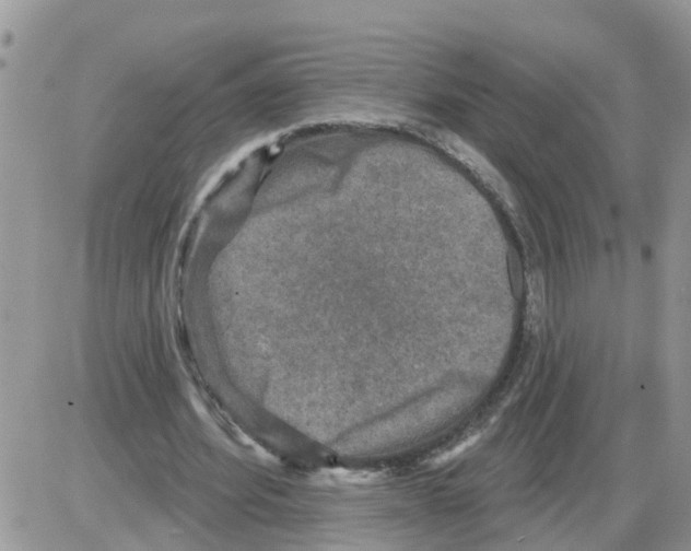 X0000086050580200704202038