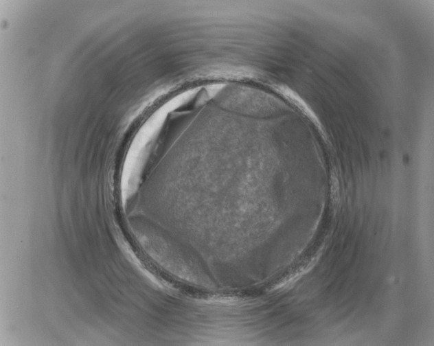 X0000086050581200704202038