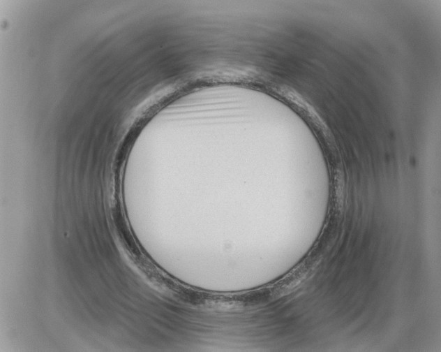 X0000086050582200704202038