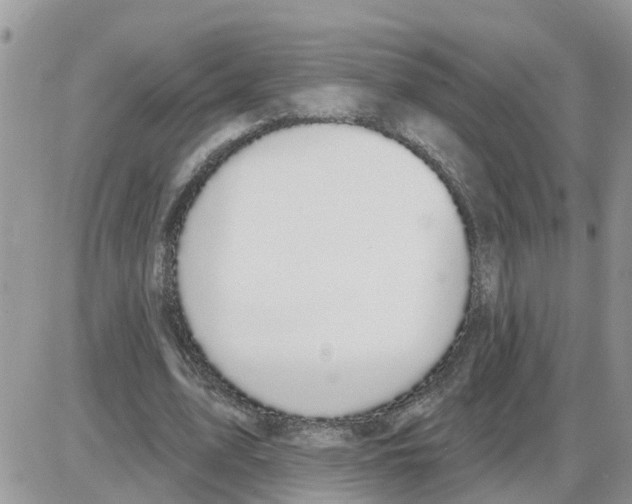 X0000086050583200704202038