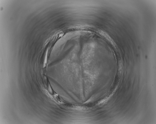 X0000086050585200704202038