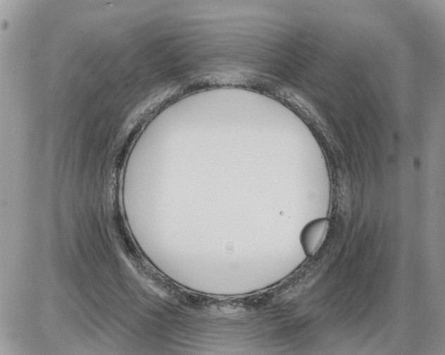 X0000086050586200704202038