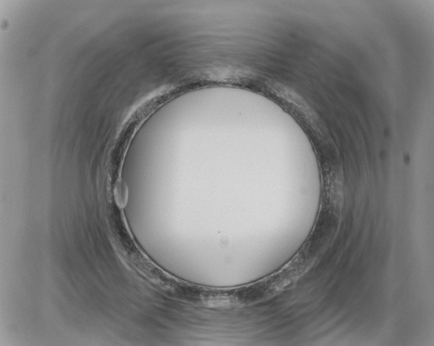 X0000086050587200704202038