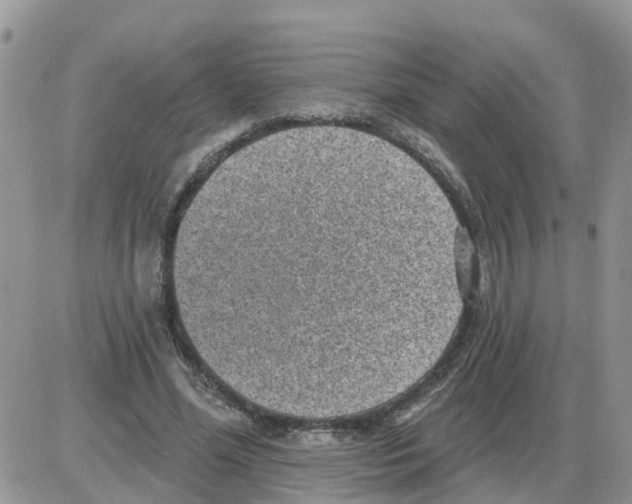 X0000086050588200704202038