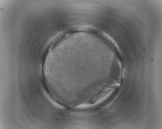 X0000086050589200704202038