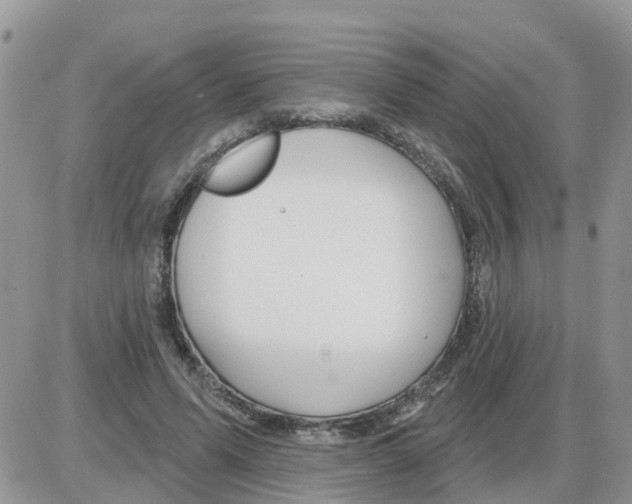 X0000086050591200704202038