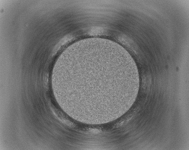 X0000086050592200704202038