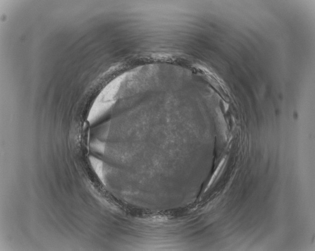 X0000086050593200704202038