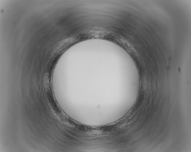 X0000086050594200704202038