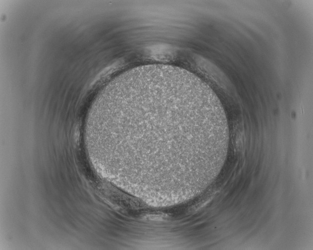 X0000086050595200704202038