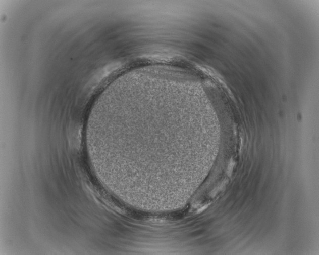 X0000086050596200704202038