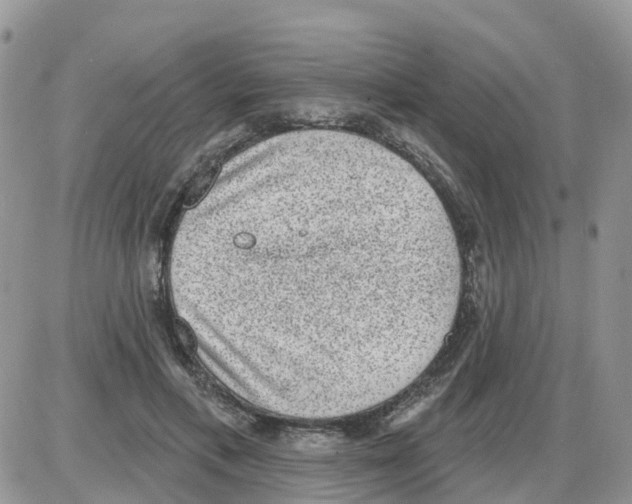 X0000086050597200704202038