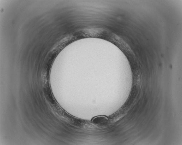 X0000086050599200704202038