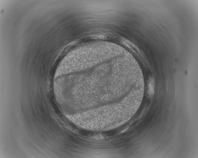 X0000086050600200704202038