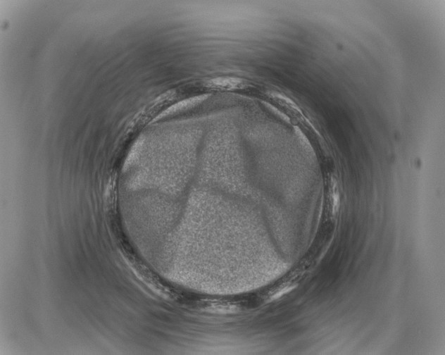 X0000086050601200704202038