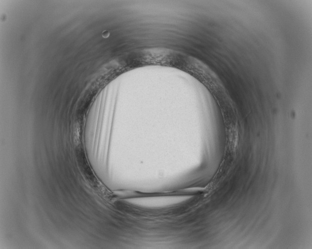 X0000086050602200704202038