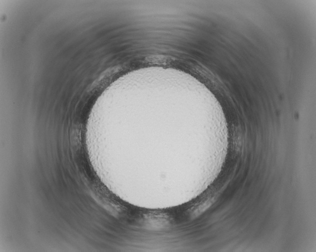 X0000086050603200704202038