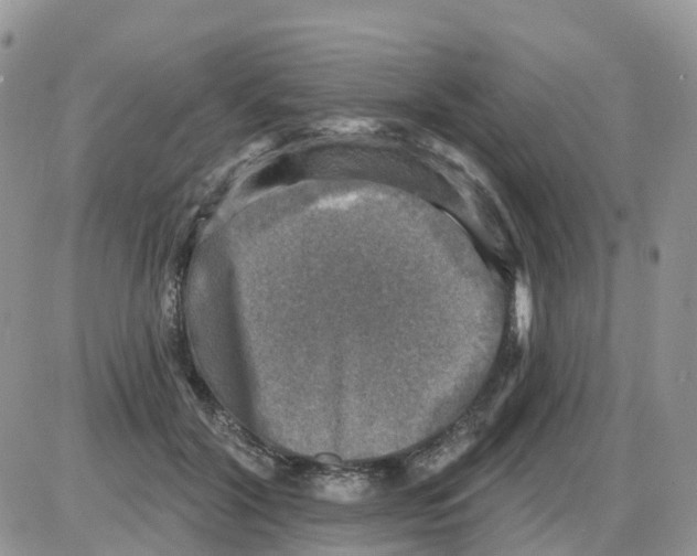 X0000086050604200704202038