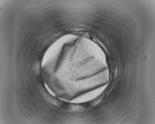 X0000086050605200704202038