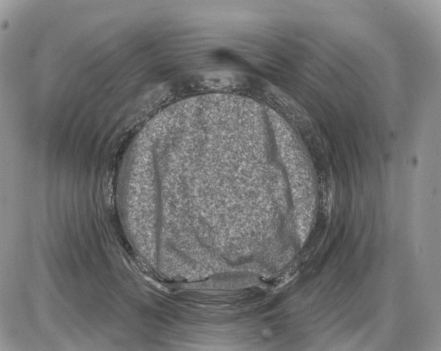 X0000086050606200704202038