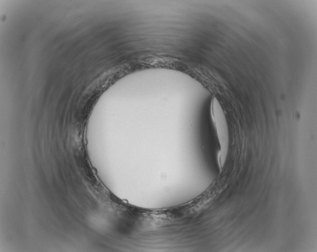 X0000086050607200704202038