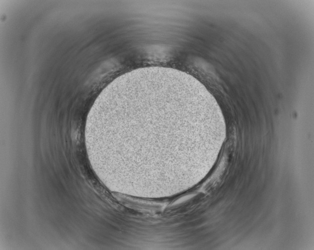 X0000086050608200704202038