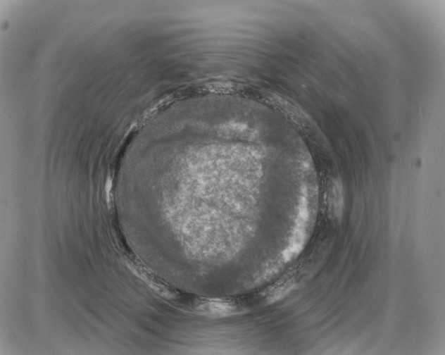 X0000086050610200704202038