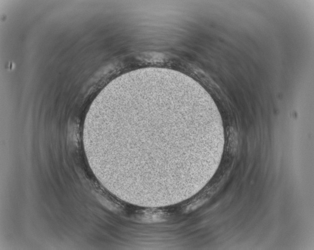 X0000086050612200704202038