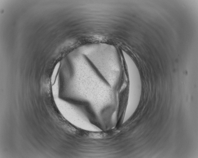 X0000086050613200704202037