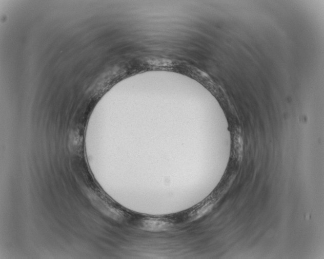 X0000086050614200704202037