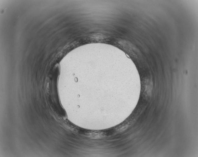 X0000086050615200704202037