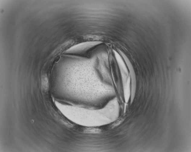 X0000086050617200704202037