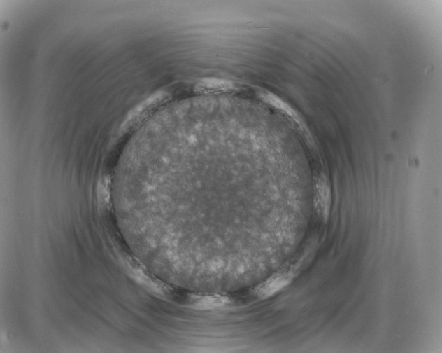 X0000086050621200704202037