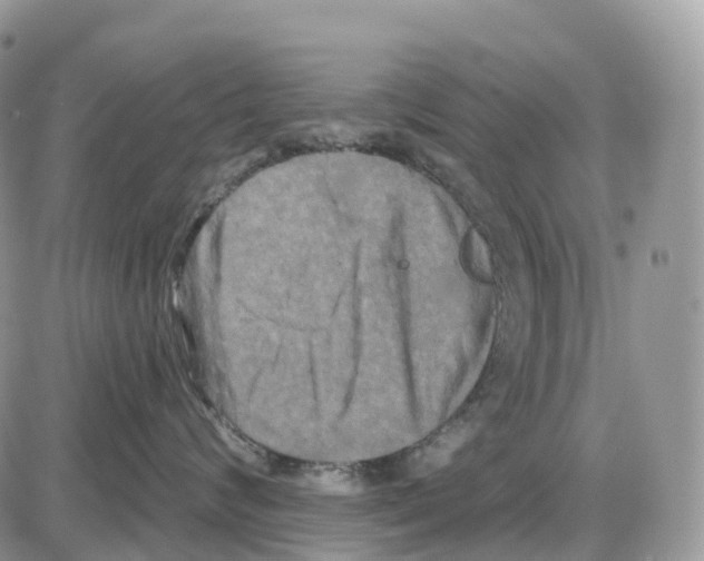 X0000086050624200704202037