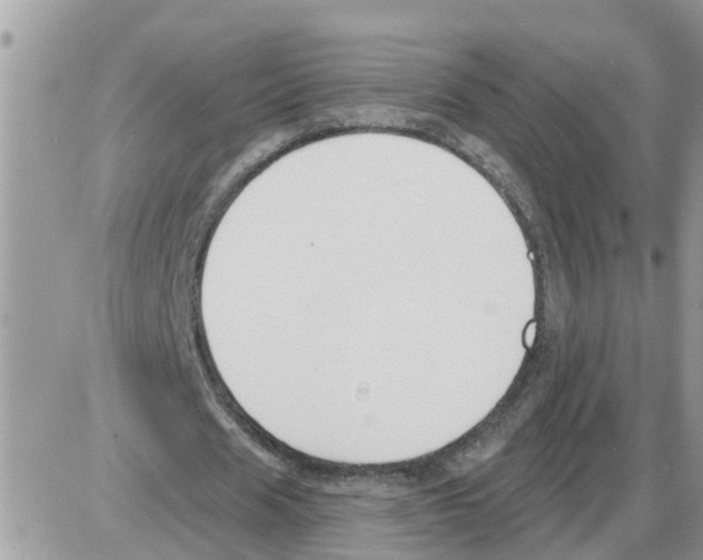 X0000086050625200704202037