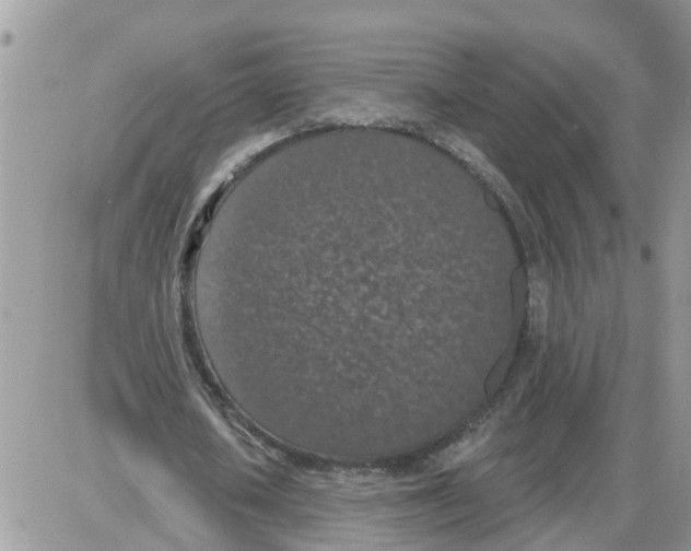 X0000086050626200704202037