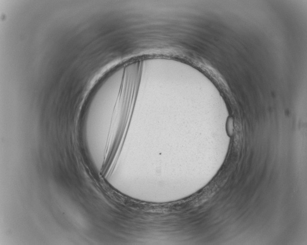 X0000086050628200704202037