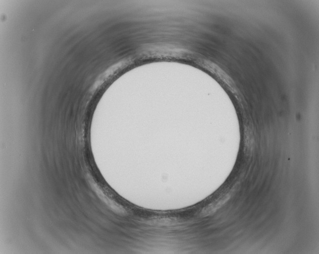 X0000086050629200704202037