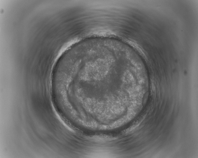 X0000086050630200704202037