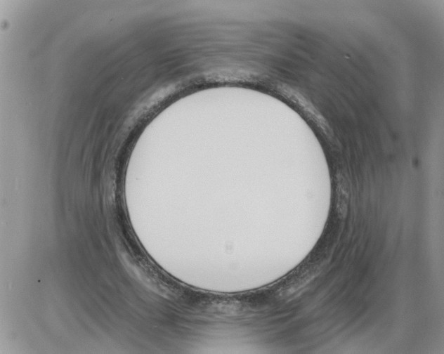 X0000086050631200704202037