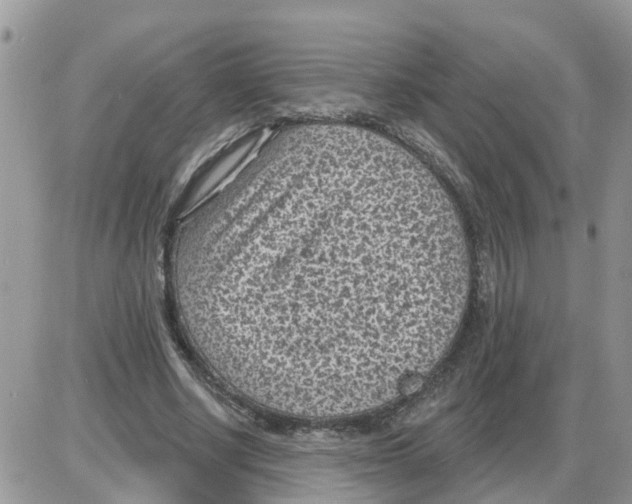 X0000086050634200704202037