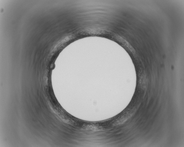 X0000086050635200704202037