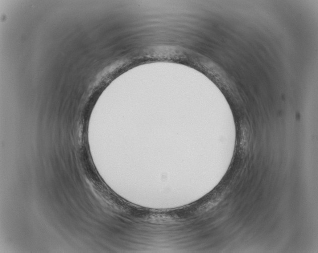 X0000086050636200704202037