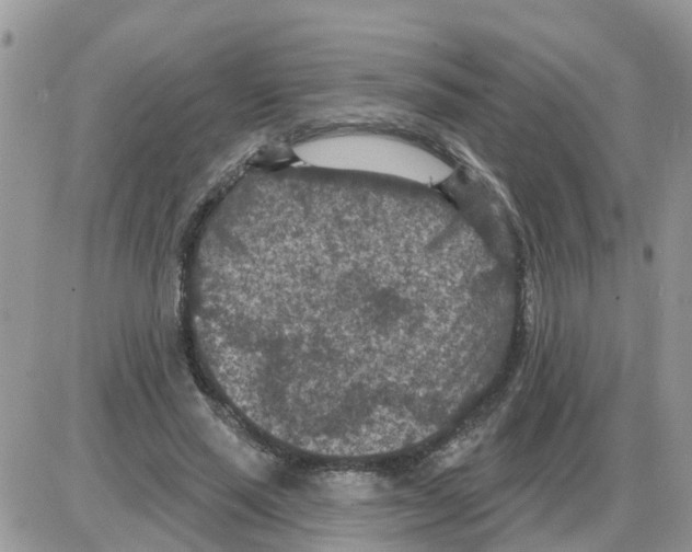 X0000086050637200704202037