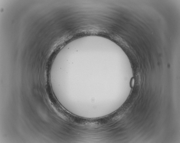 X0000086050638200704202037